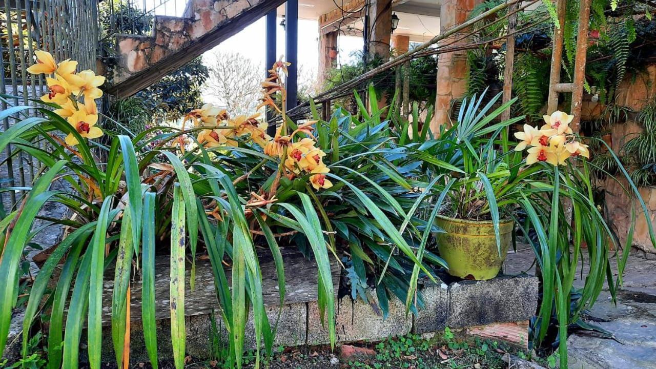 Pousada Canto Das Corujas São Roque Exterior photo